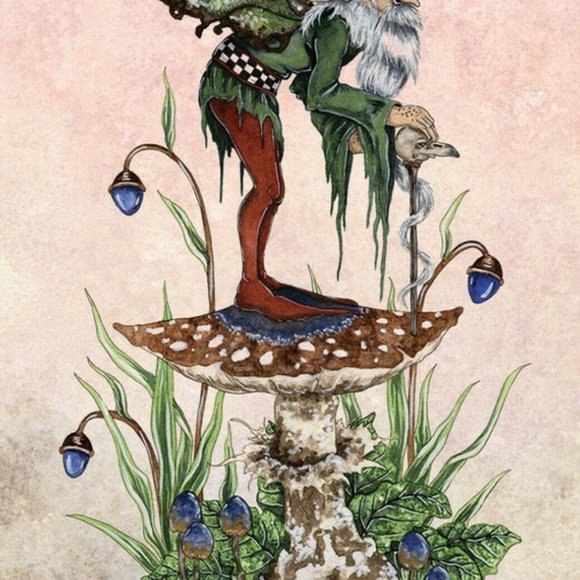 Fairy Wisdom Oracle Cards Deck Book Set Amy Brown - Picture 5 of 8